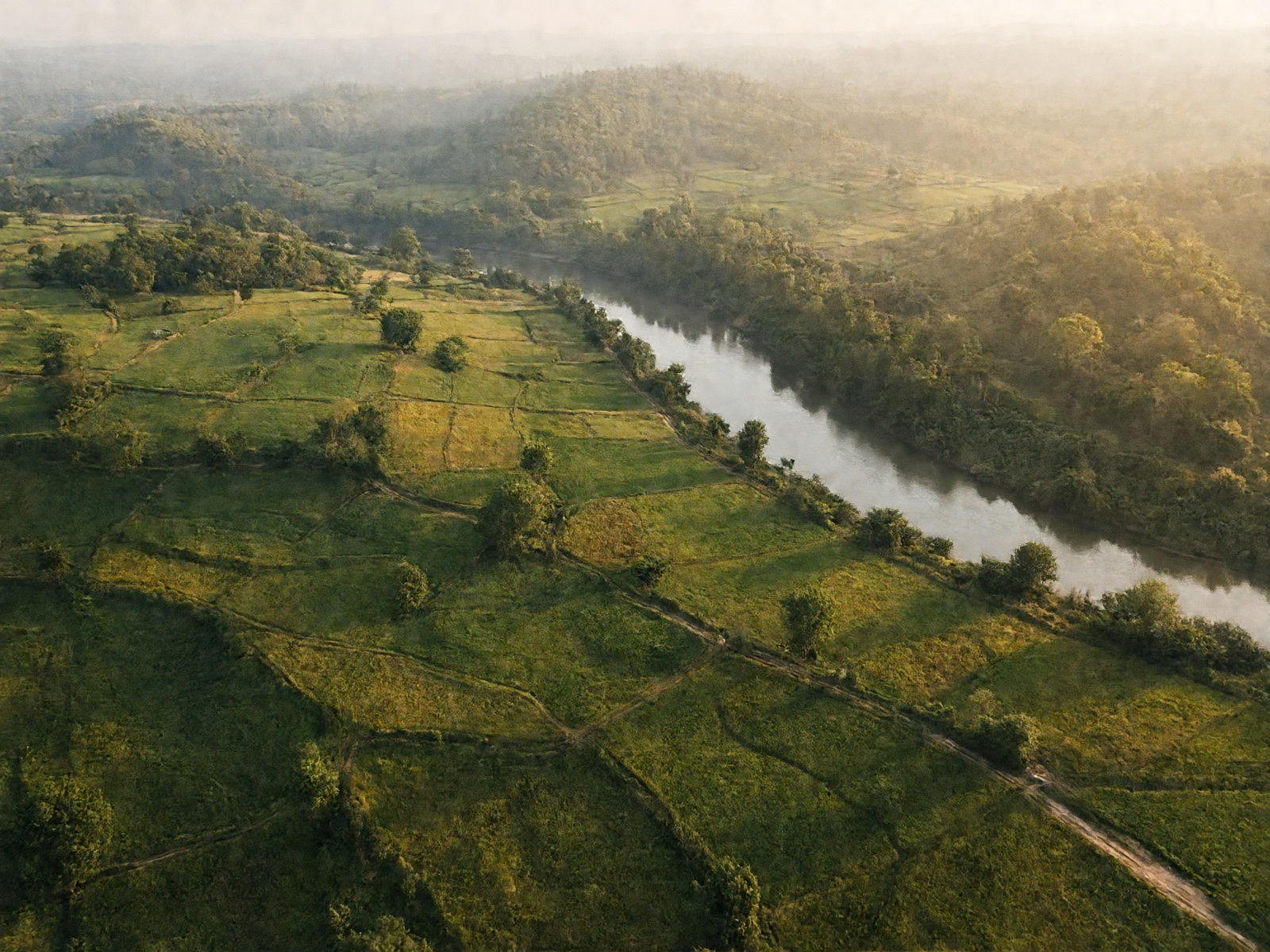 Land & Plots